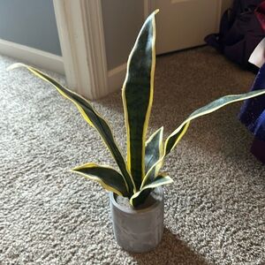 Five Below fake plant
